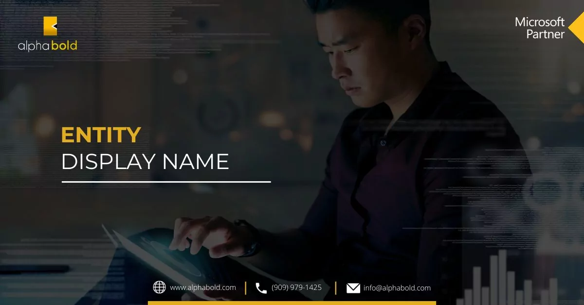 Entity Display Name