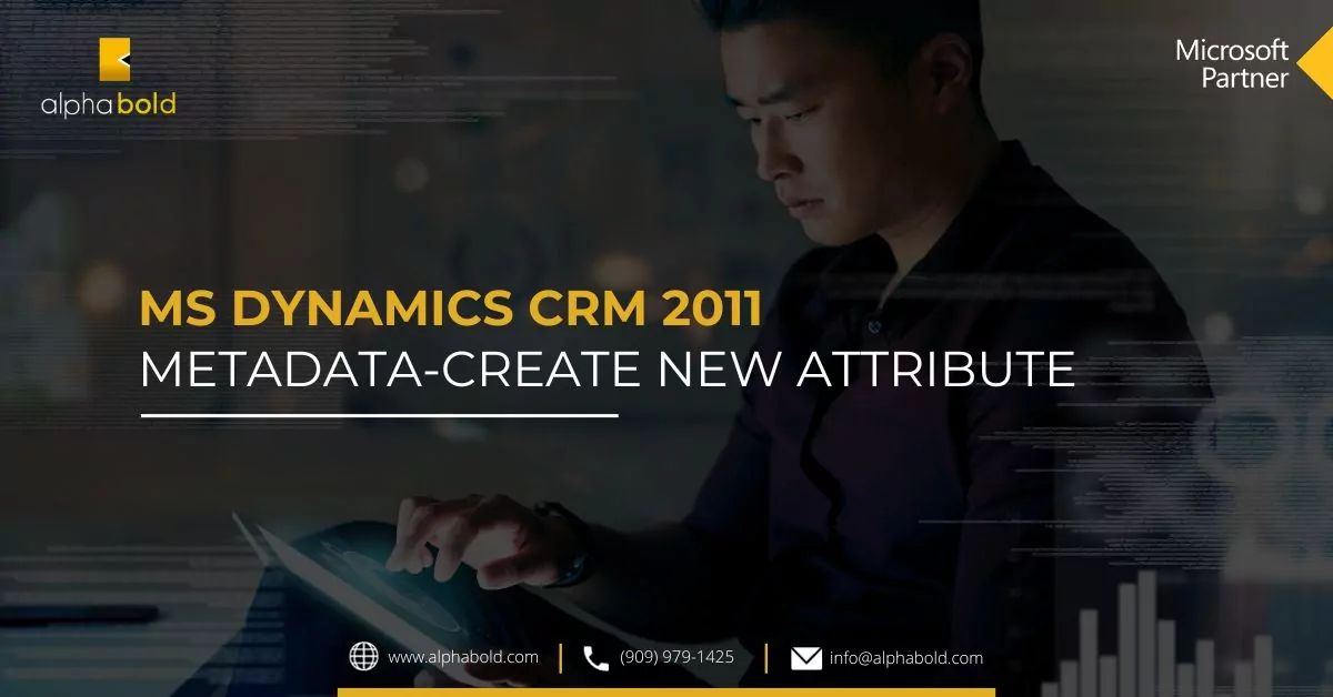 MS Dynamics CRM 2011 Metadata-Create New Attribute