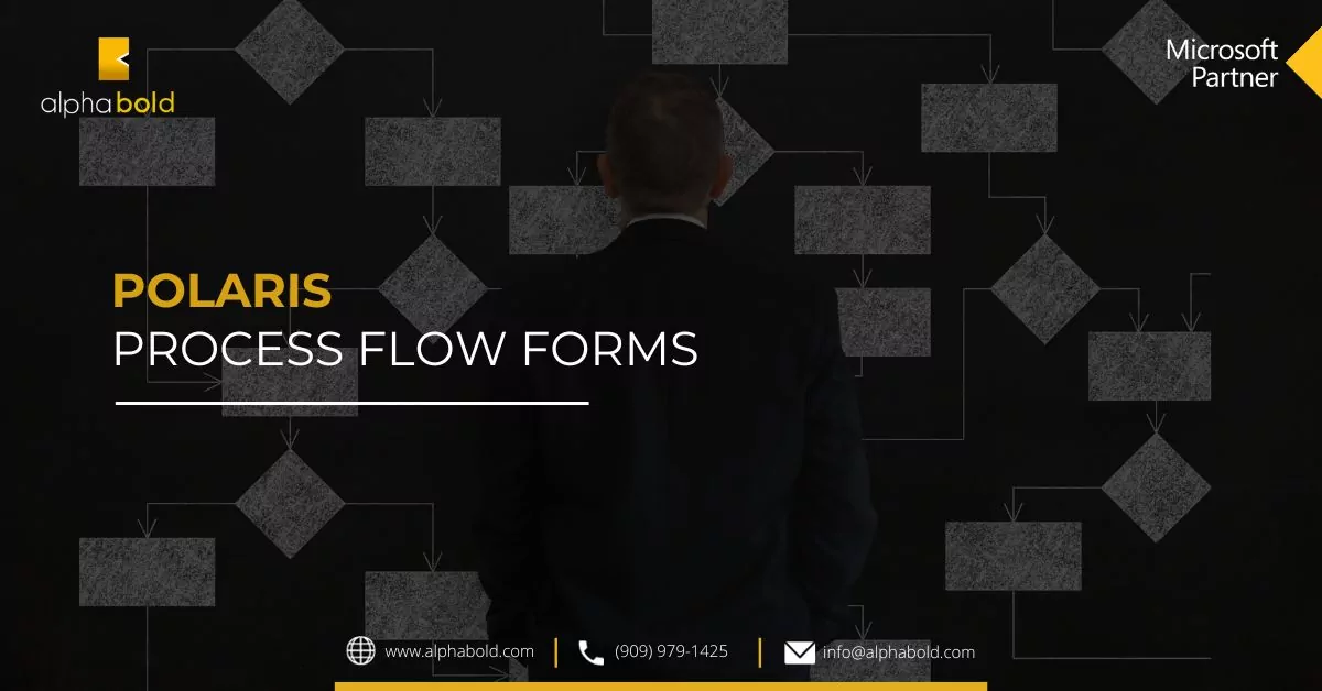 Polaris - process flow forms