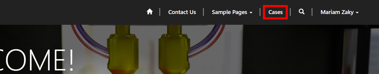 How to Access Cases from Navigation