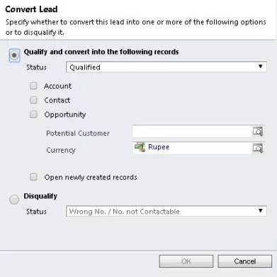 this image shows Qualify Lead Process in CRM 2011