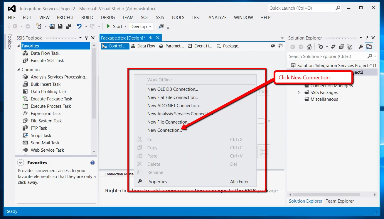 Data Flow Task element displayed