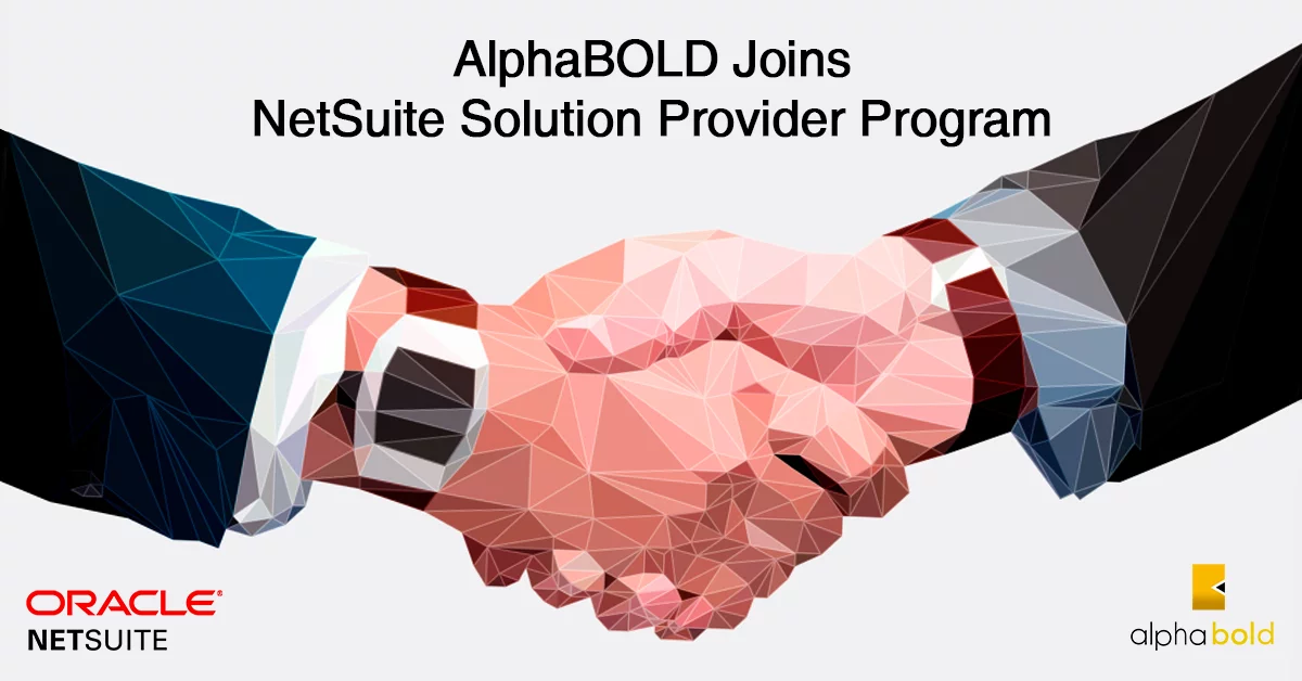 netsuite solution provider