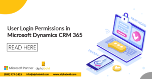 this image shows user login permission dynamics 365