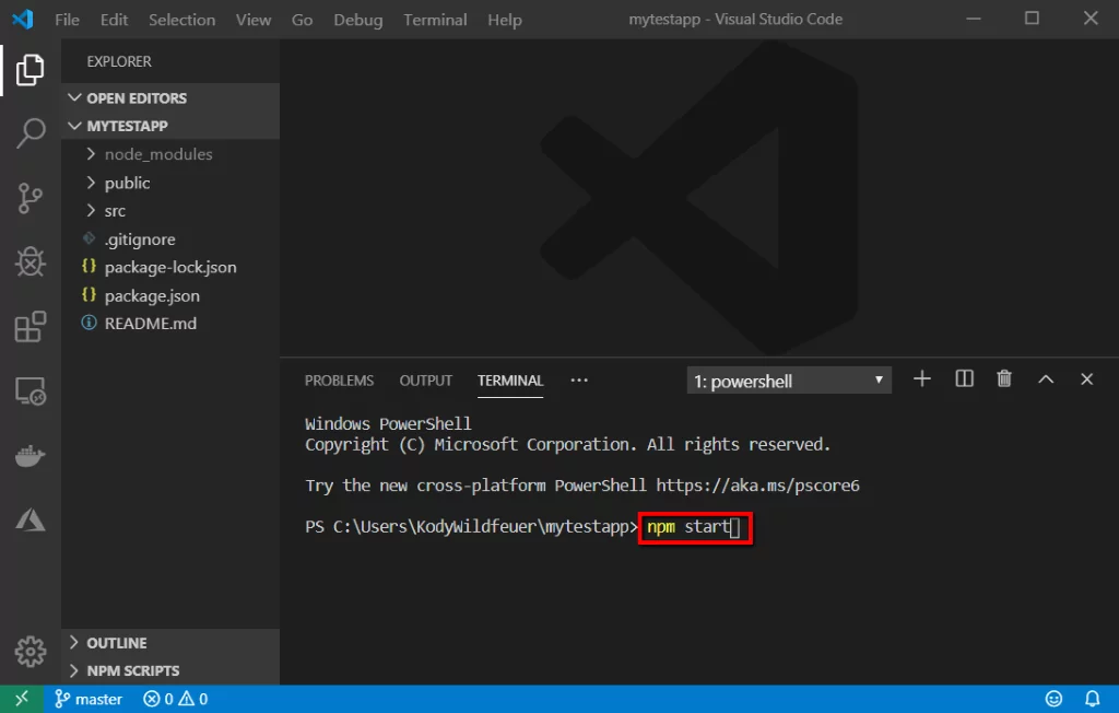 npm start