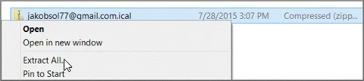 unzip the file