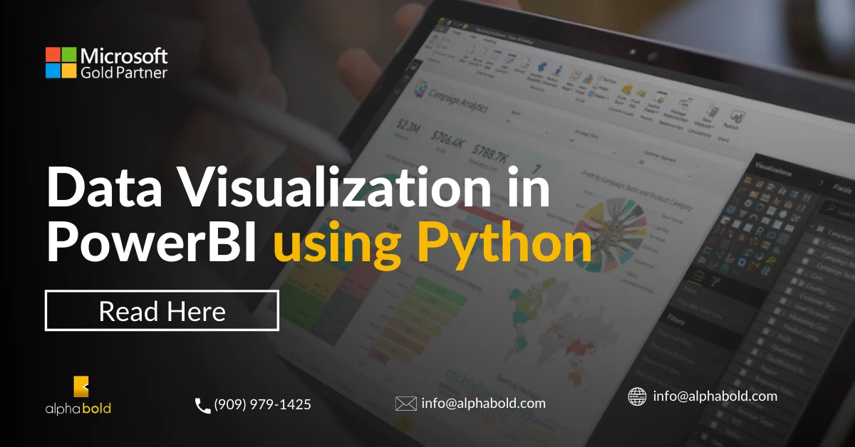 Infographic show the Data Visualization in Power BI