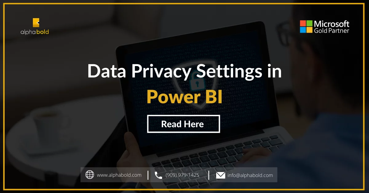 This image shows Data Privacy Settings in Power BI (Business Intelligence)