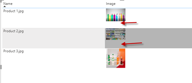 Infographic that show how to put “Image” column in the grid with the image name