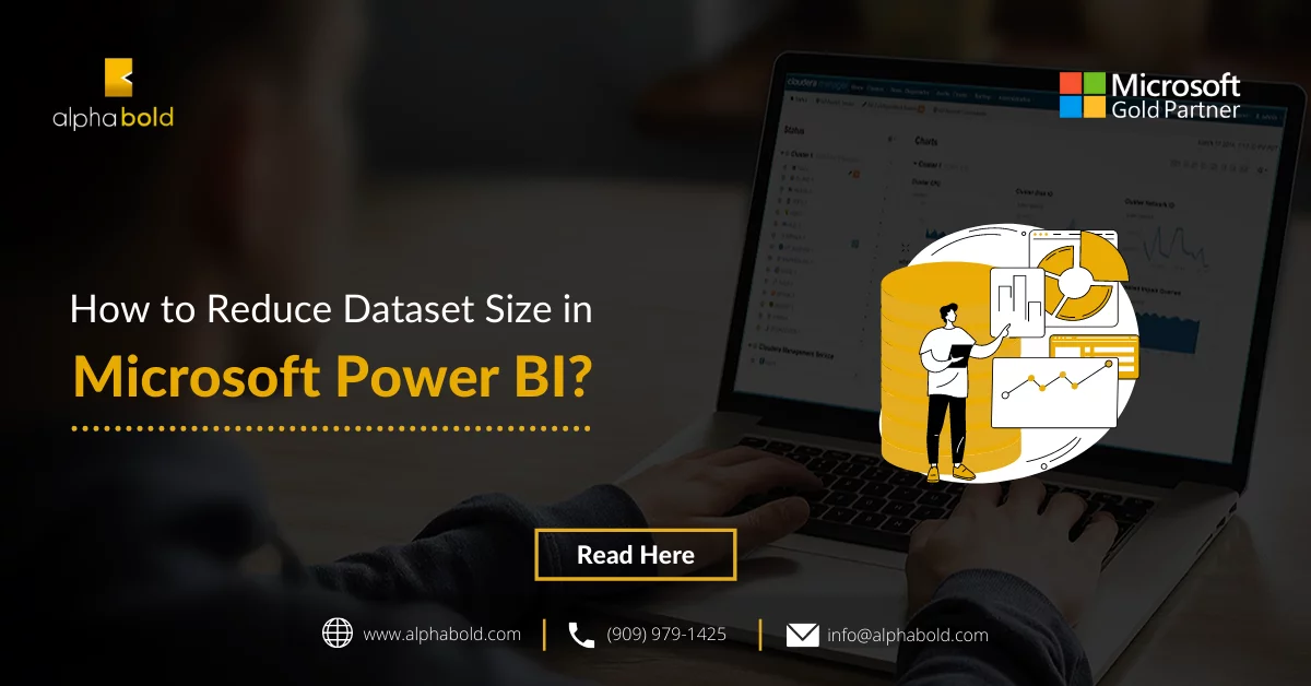 The image show the How to Reduce Dataset Size in Microsoft Power BI