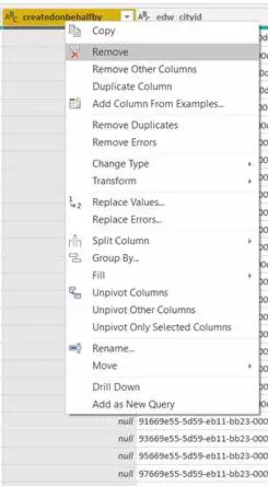The image shows the columns in the Power Query and delete those not in use in any of your reports or calculations.  Reduce Dataset Size