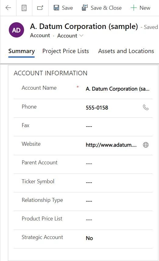 the image shows the Strategic Account field deployed - Deploy PowerApps Solutions Using Azure DevOps