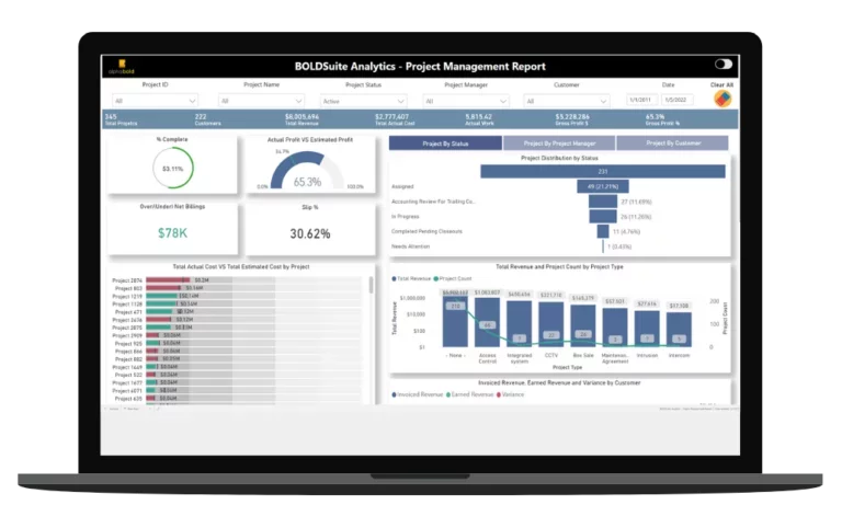 boldsuite analytics - project management report 