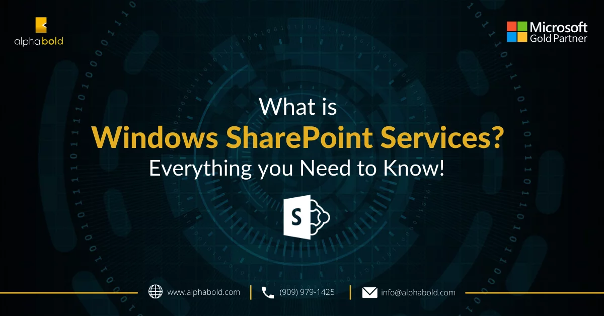 this image show's What is Windows SharePoint Services (WSS)?