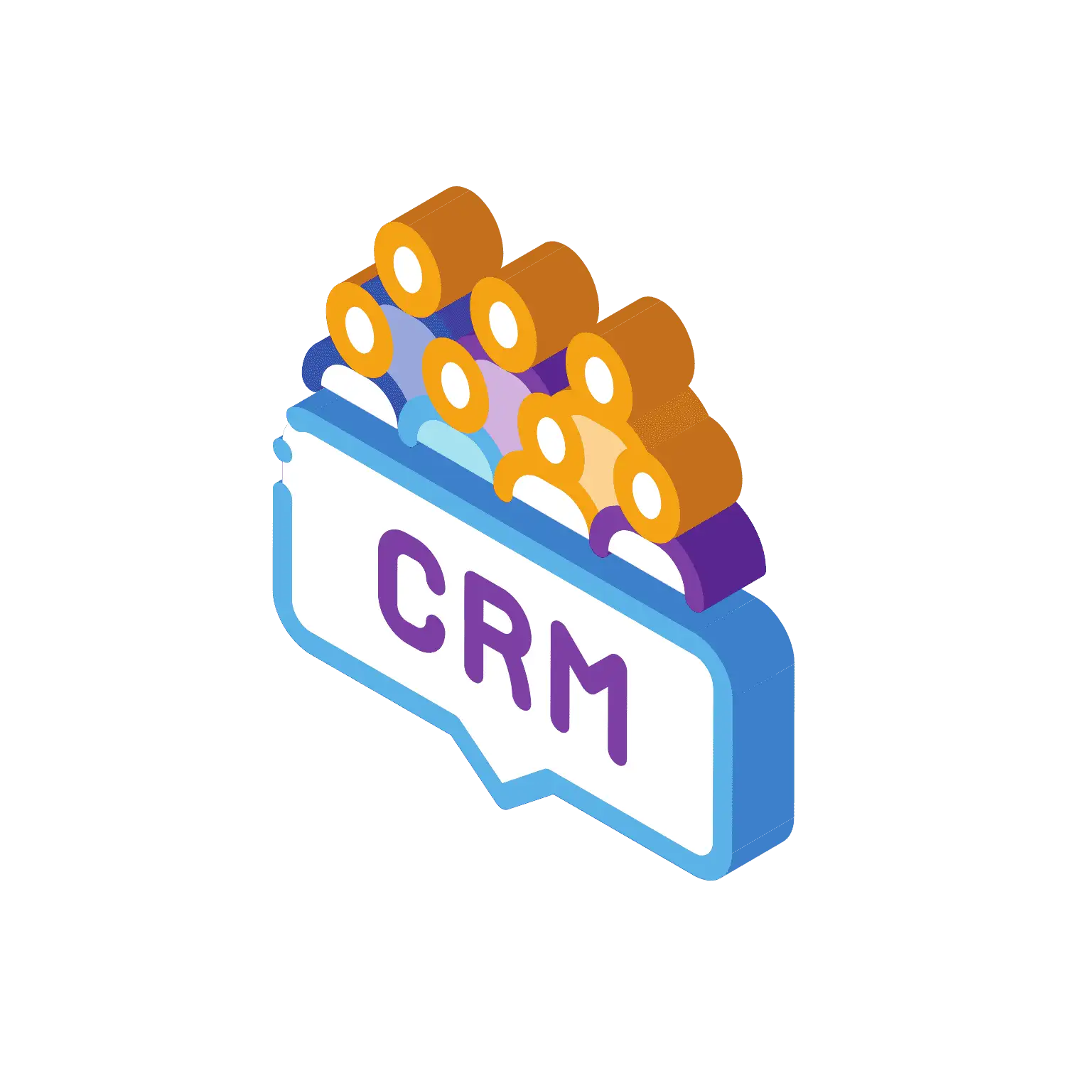 Customer relationship management (CRM)