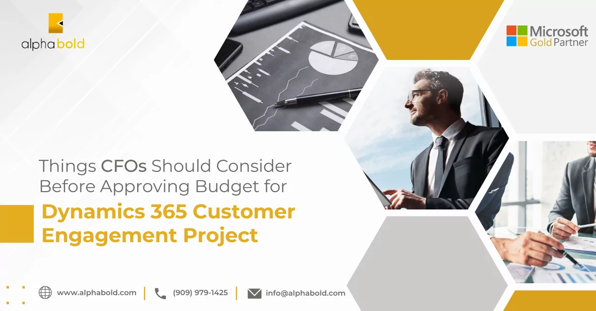 Infographic show the Budget for Dynamics 365 Customer Engagement Project