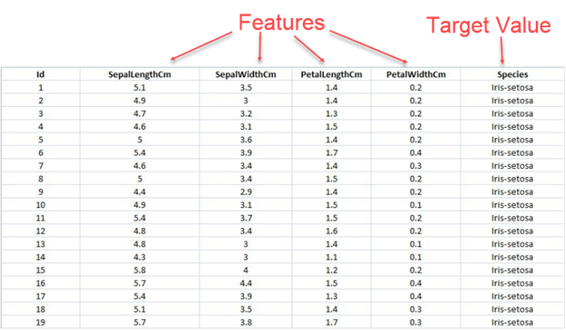 Infographic that shows Features are input values that help a Machine Learning model better predict the Target Value- Time Series Features for Machine Learning