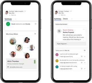 This image shows Microsoft Dynamics Sales mobile app