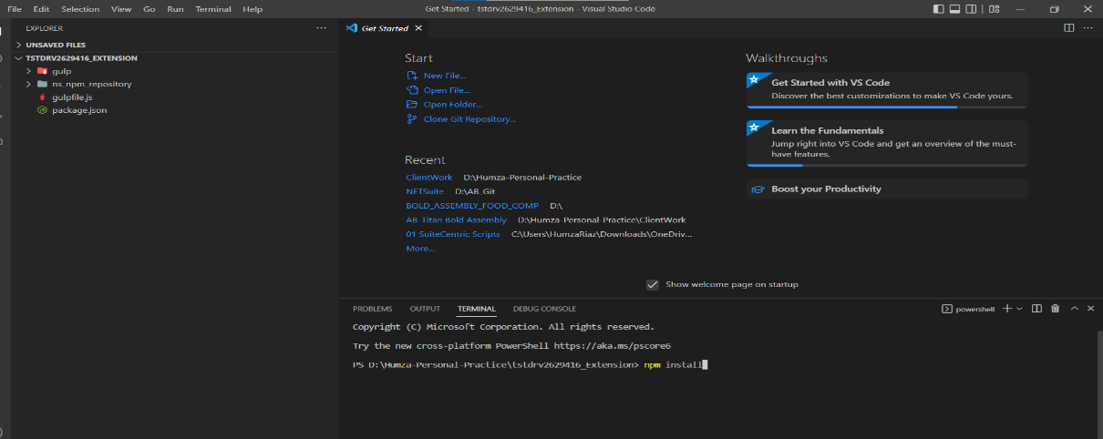 npm install