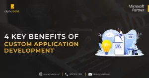 infographic show the Benefits of Custom Application Development