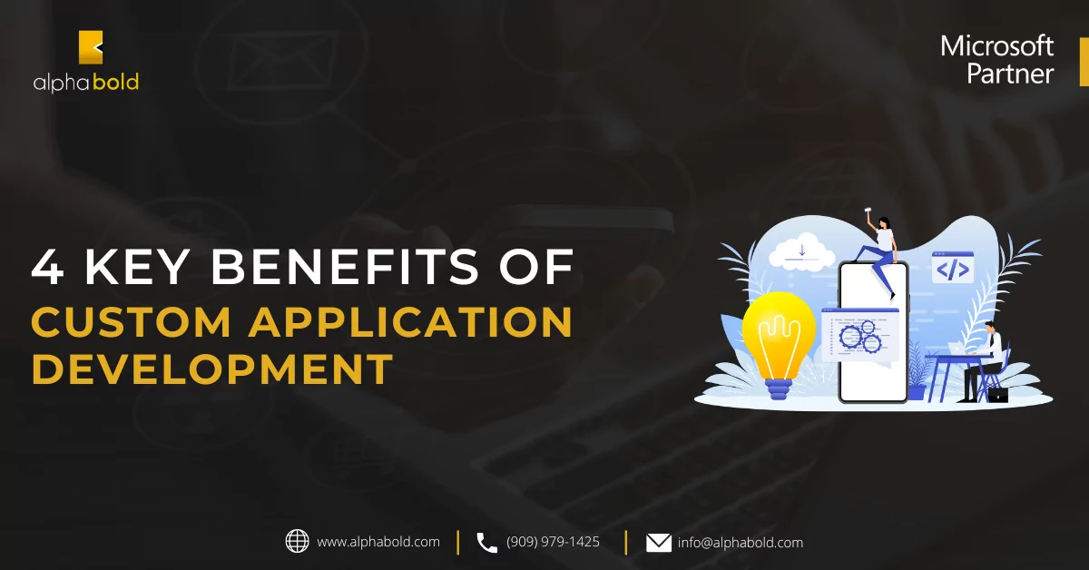 infographic show the Benefits of Custom Application Development