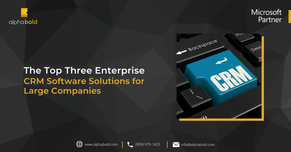 infographic show the The Top Three Enterprise CRM Software Solutions for Large Companies