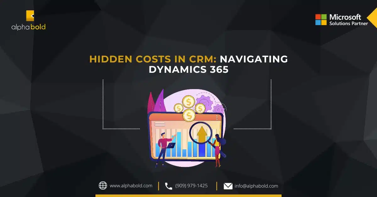 Hidden Costs In CRM Navigating Dynamics 365