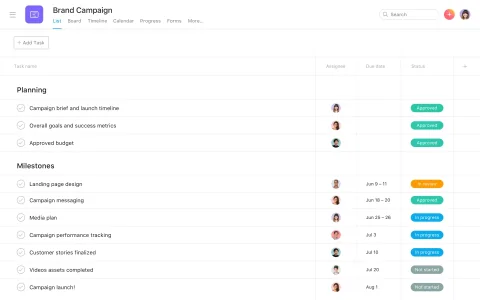 Infographic that shows the Overview of Asana Collaboration Tool