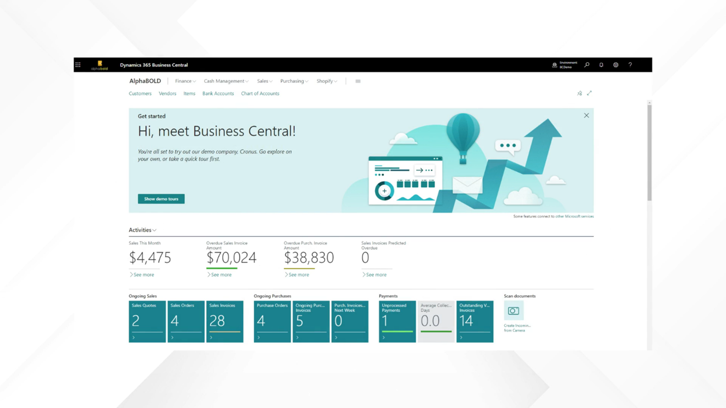 the image shows the Business Central Implementation Process at AlphaBOLD