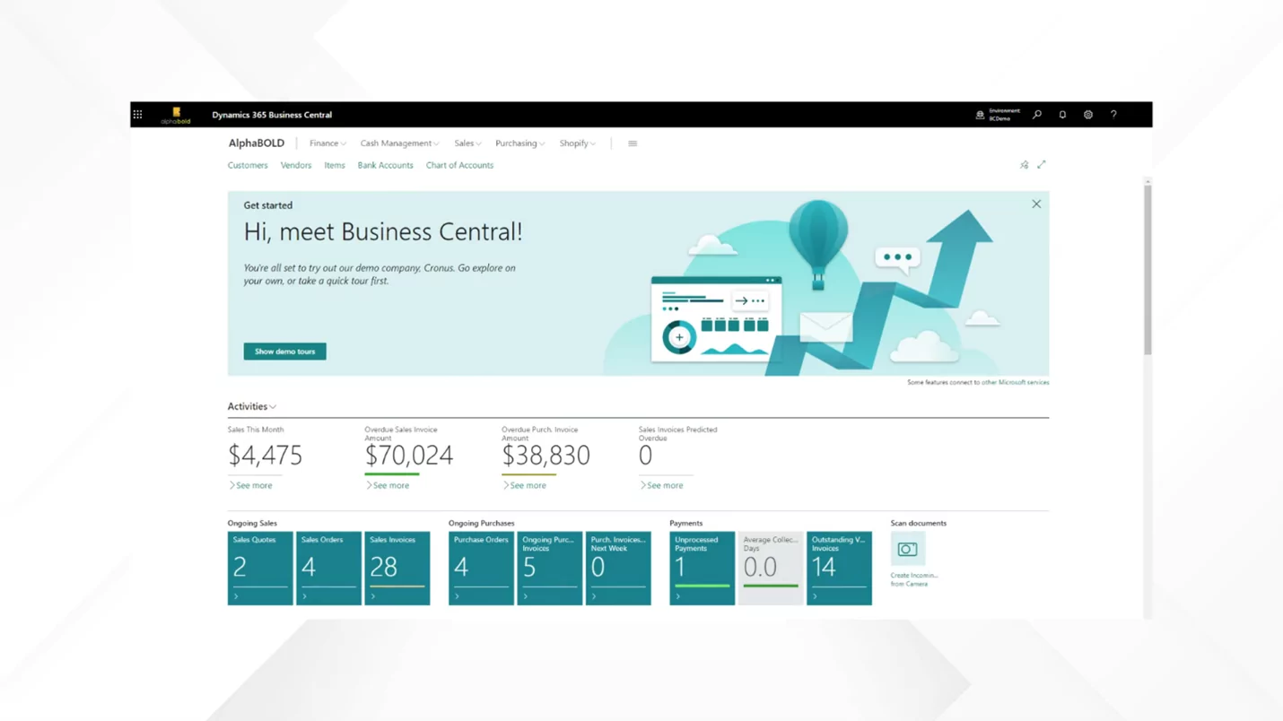 the image shows the Business Central Implementation Process at AlphaBOLD