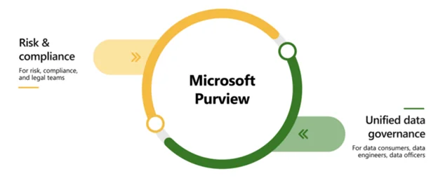 Infographics shows that Microsoft Purview