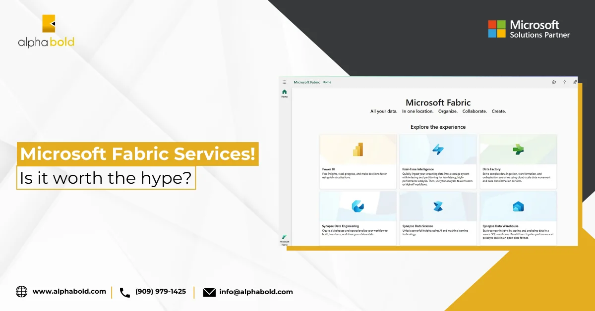 Infographic show the Microsoft Fabric Services! Is It Worth The Hype?
