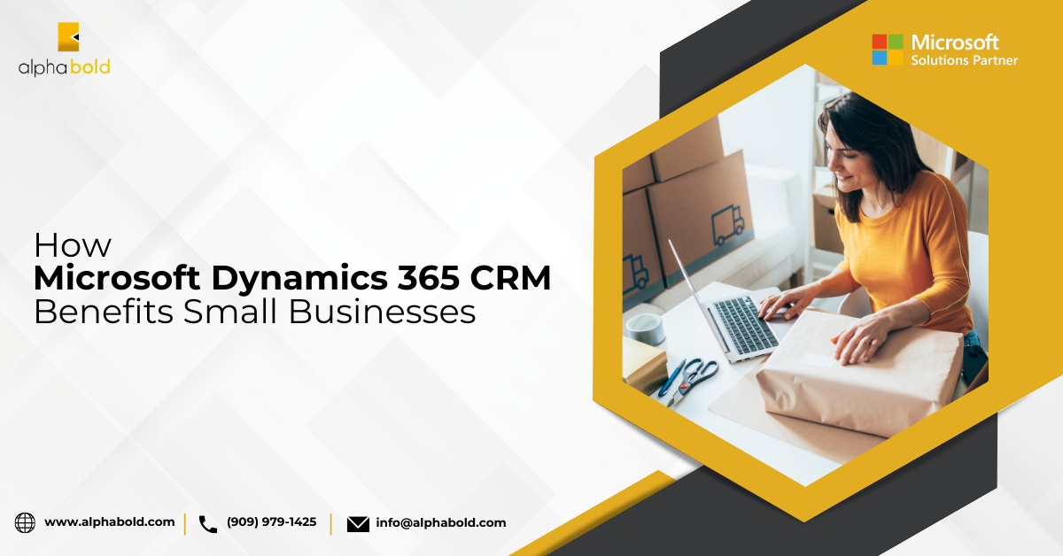 How Microsoft Dynamics 365 CRM Benefits Small Businesses How Microsoft Dynamics 365 CRM Benefits Small Businesses