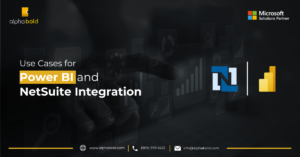 This image shows Use Cases for Power BI NetSuite Integration