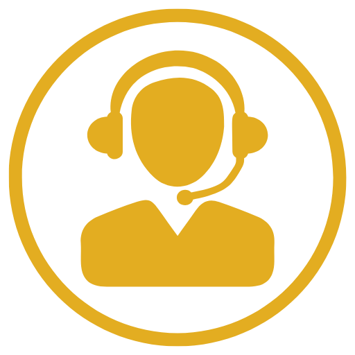 Infographic shows the Support Services and Plans for Dynamics 365 Customer Insights Consulting Services to maximize value and business outcomes