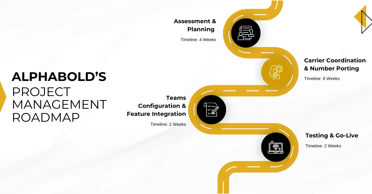 Infographic shows AlphaBOLD’s Project Management Roadmap