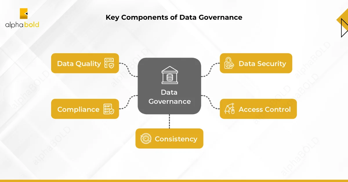 Infographics show the Key Components of Data Governance