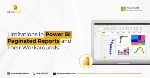 this image shows the power bi limitations in paginated reports