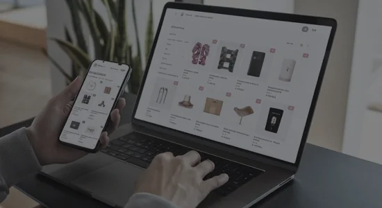 Retail and eCommerce Software Development services