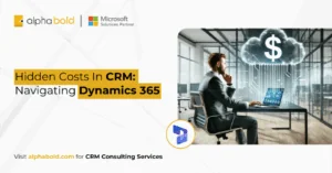 Hidden Costs In CRM Navigating Dynamics 365