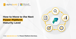 Power Platform Maturity Level